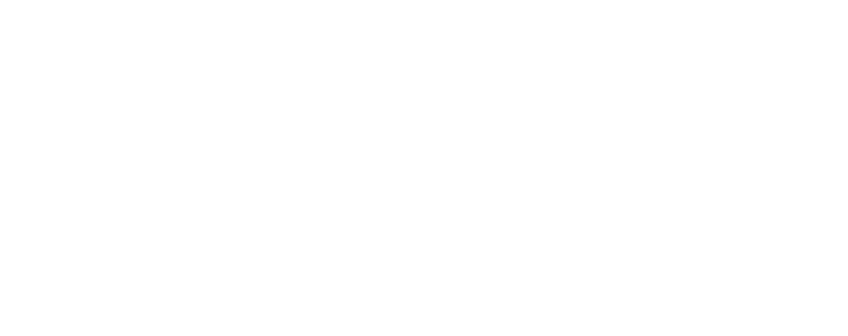The Social Falcon Logo